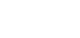 Metales Vazvei logo